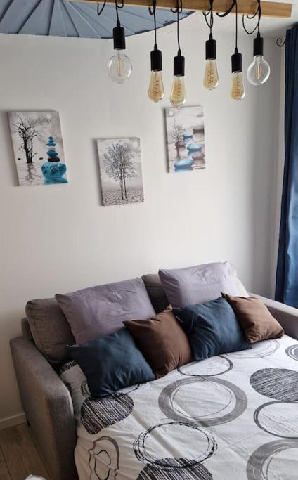 Nemo Petit Studio Cosy. Selongey Esterno foto